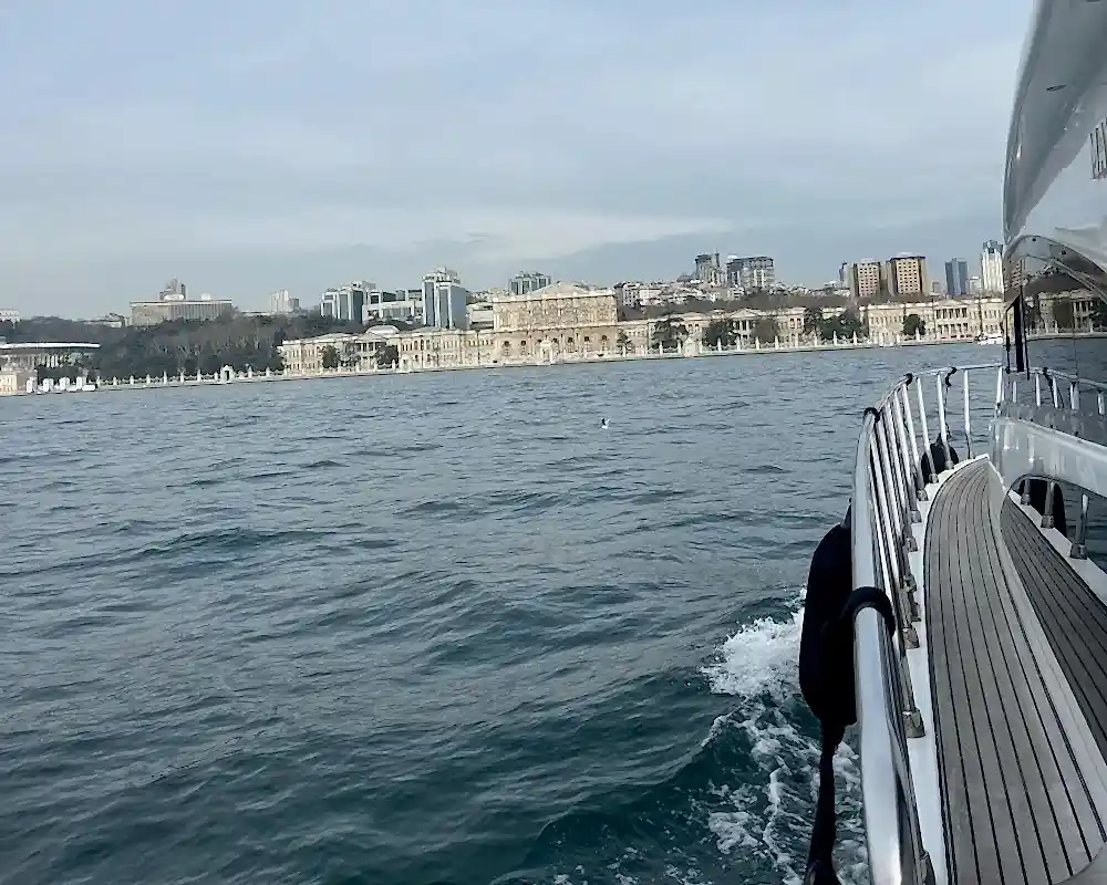 Yat Türleri